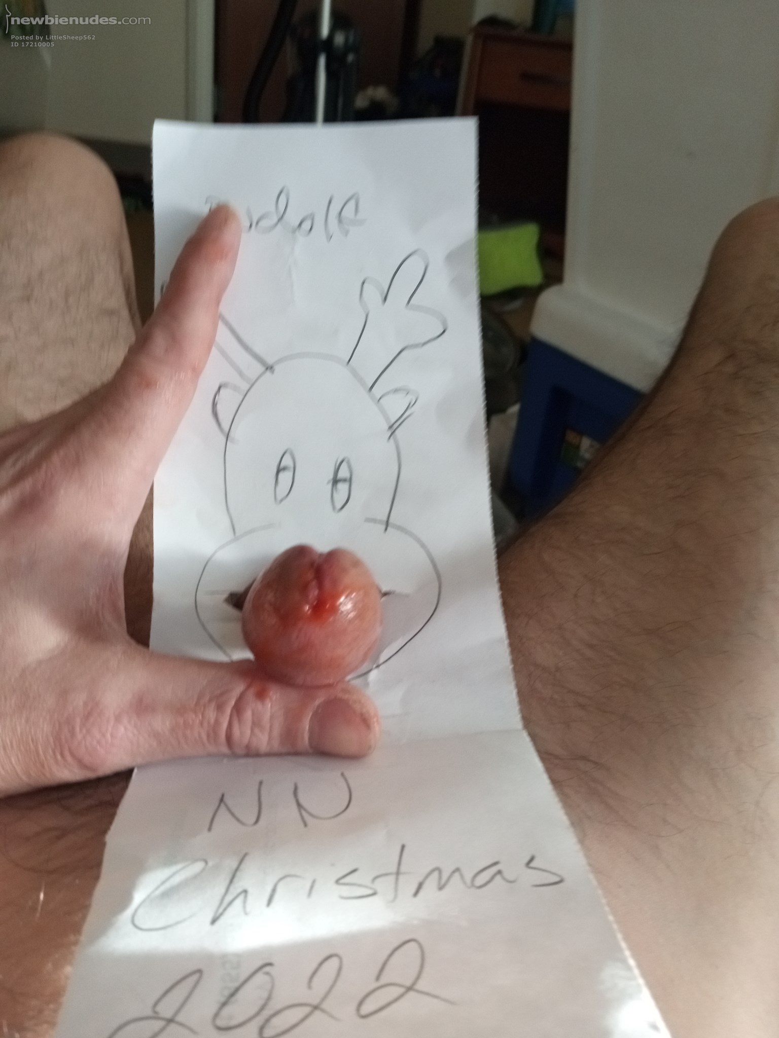 Rudolf the red nosed reindeer 