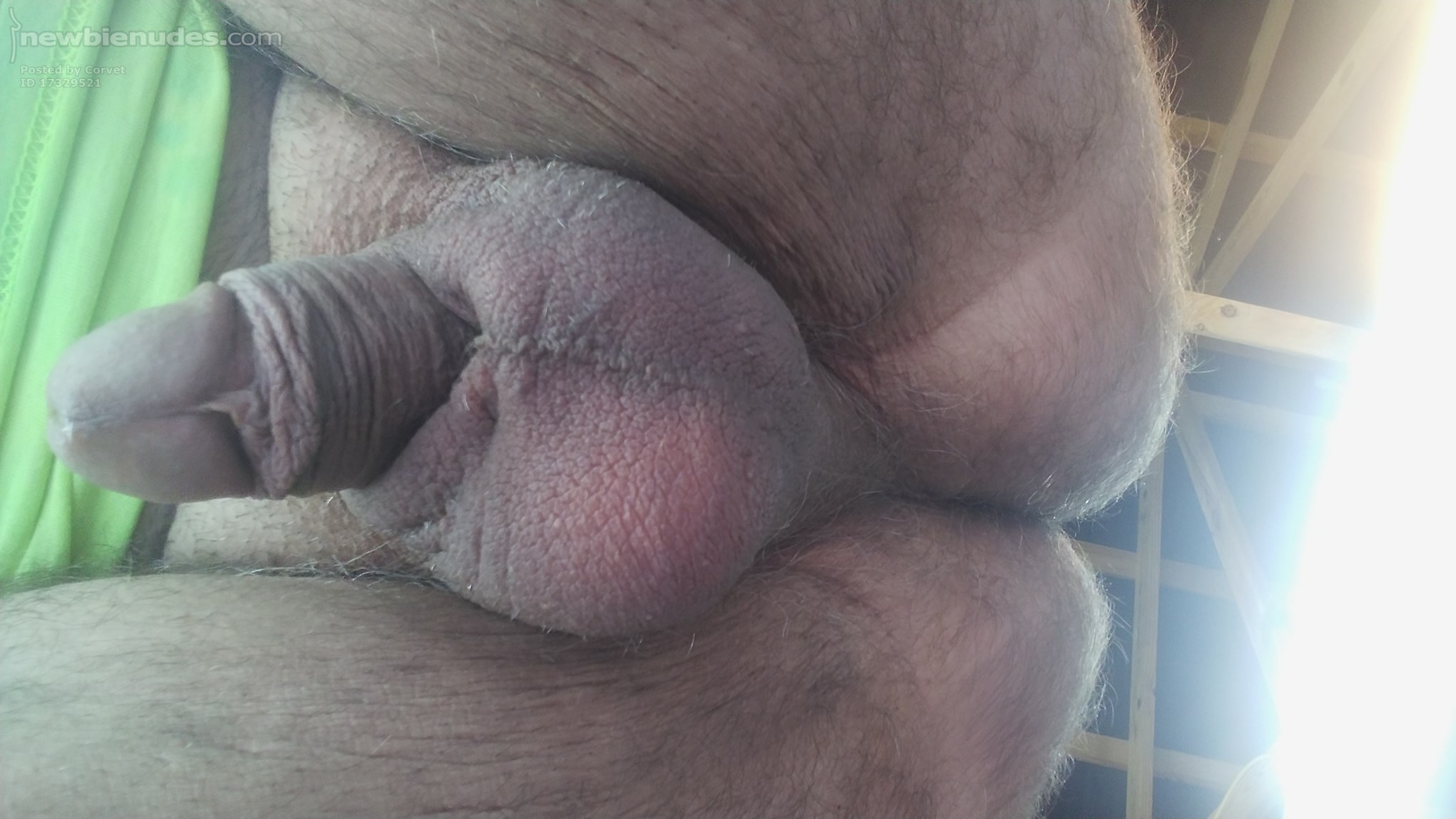 A different view of the goods... y'all stay cool...😎