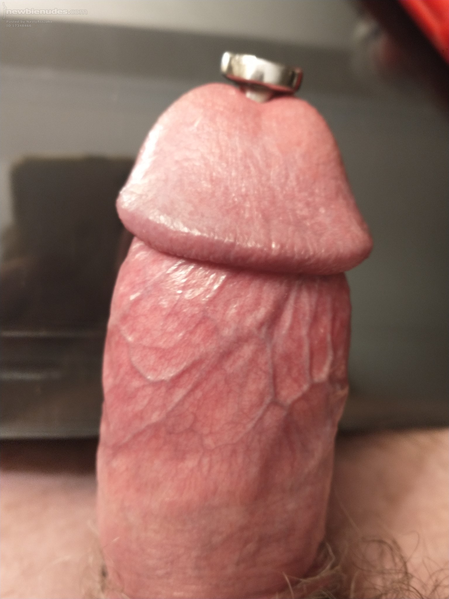 Playing with a very large (18mm, almost 4 inches long) piss-through penis plug. (1)