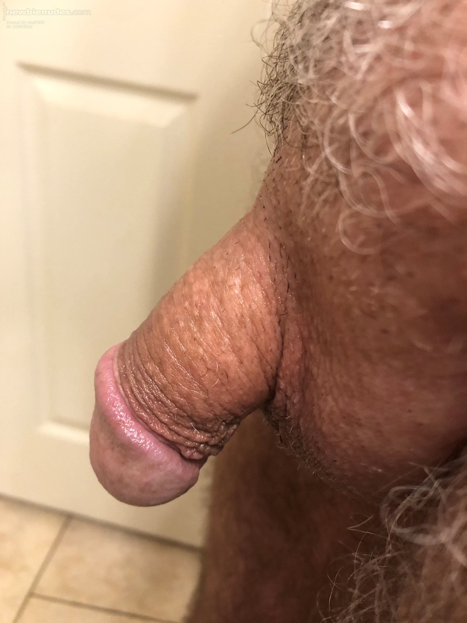 The 73 year old dick