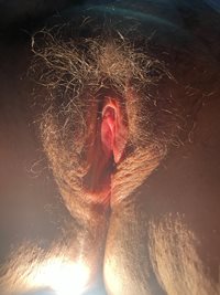 Her hairy pussy waiting to be fucked she is excited so her hood goes back b...