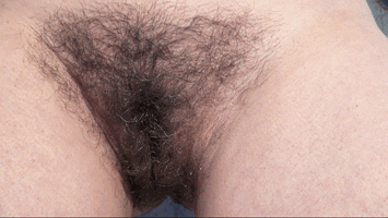 My Hairy Bush