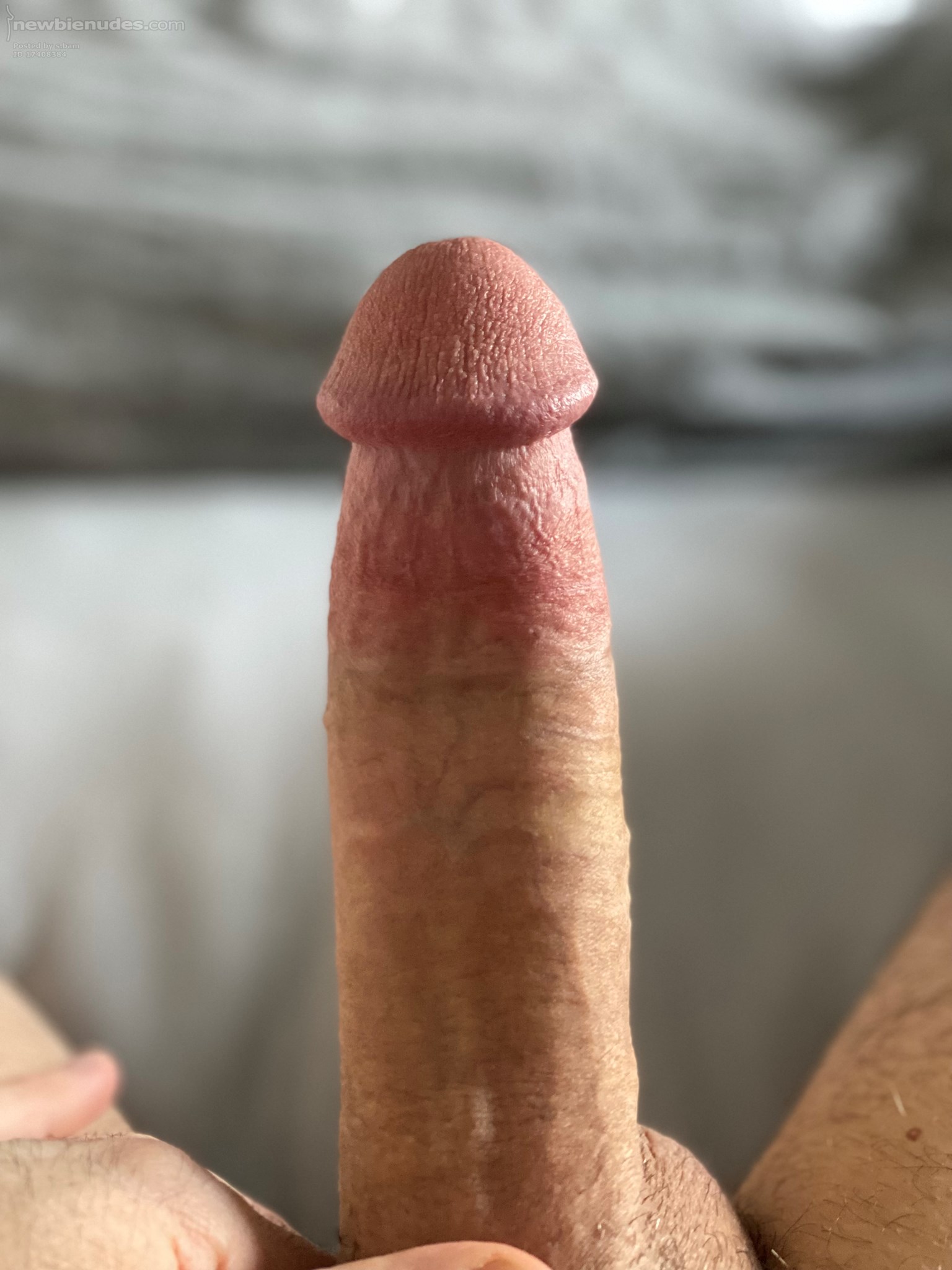 Preparing for verification photo