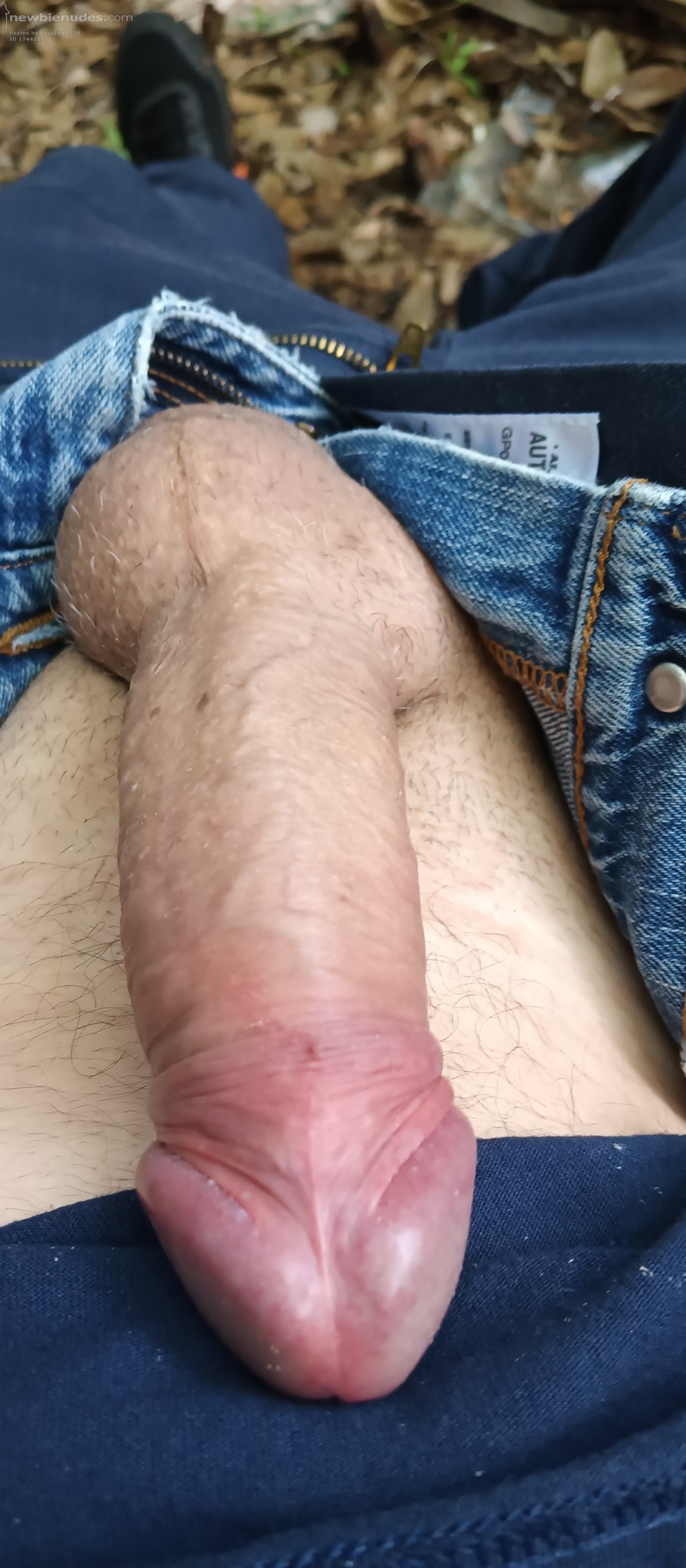 Can you help me with this?