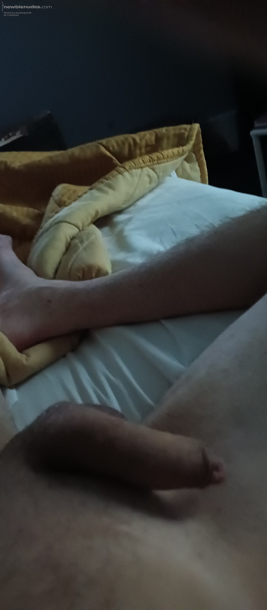 Can you help me with this?