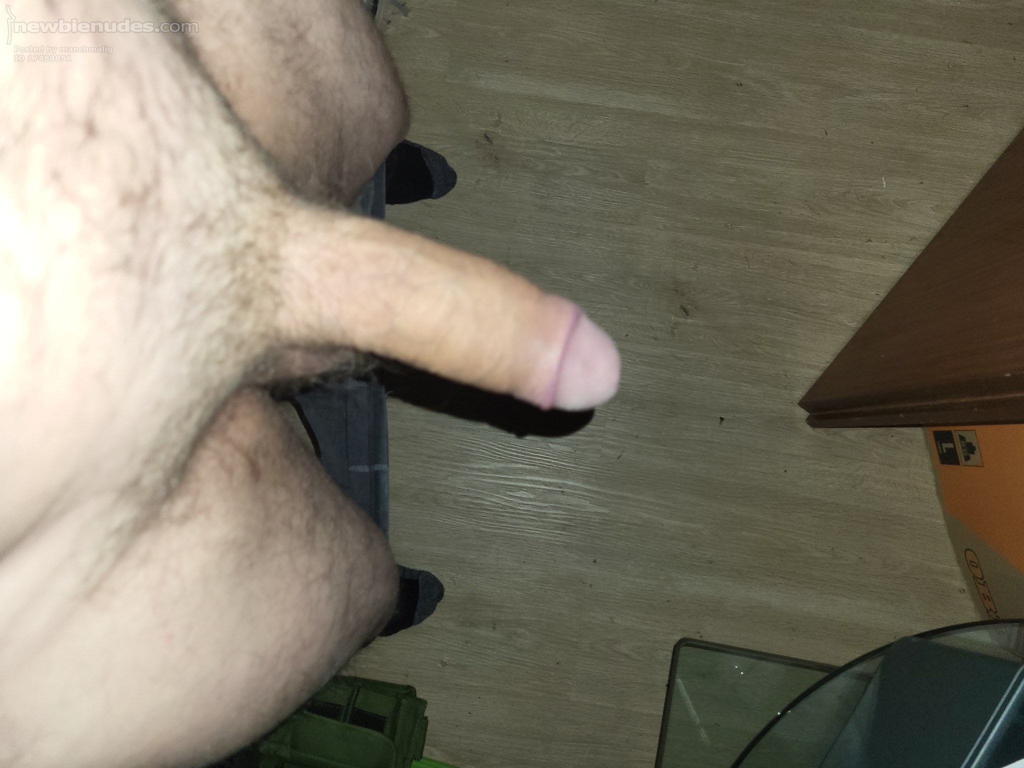 rate my dick