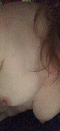 Redhead Tits