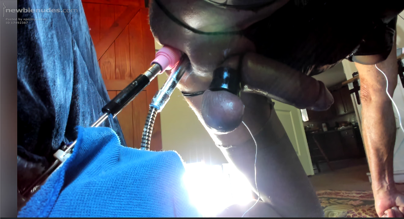 fucking my spermhole
