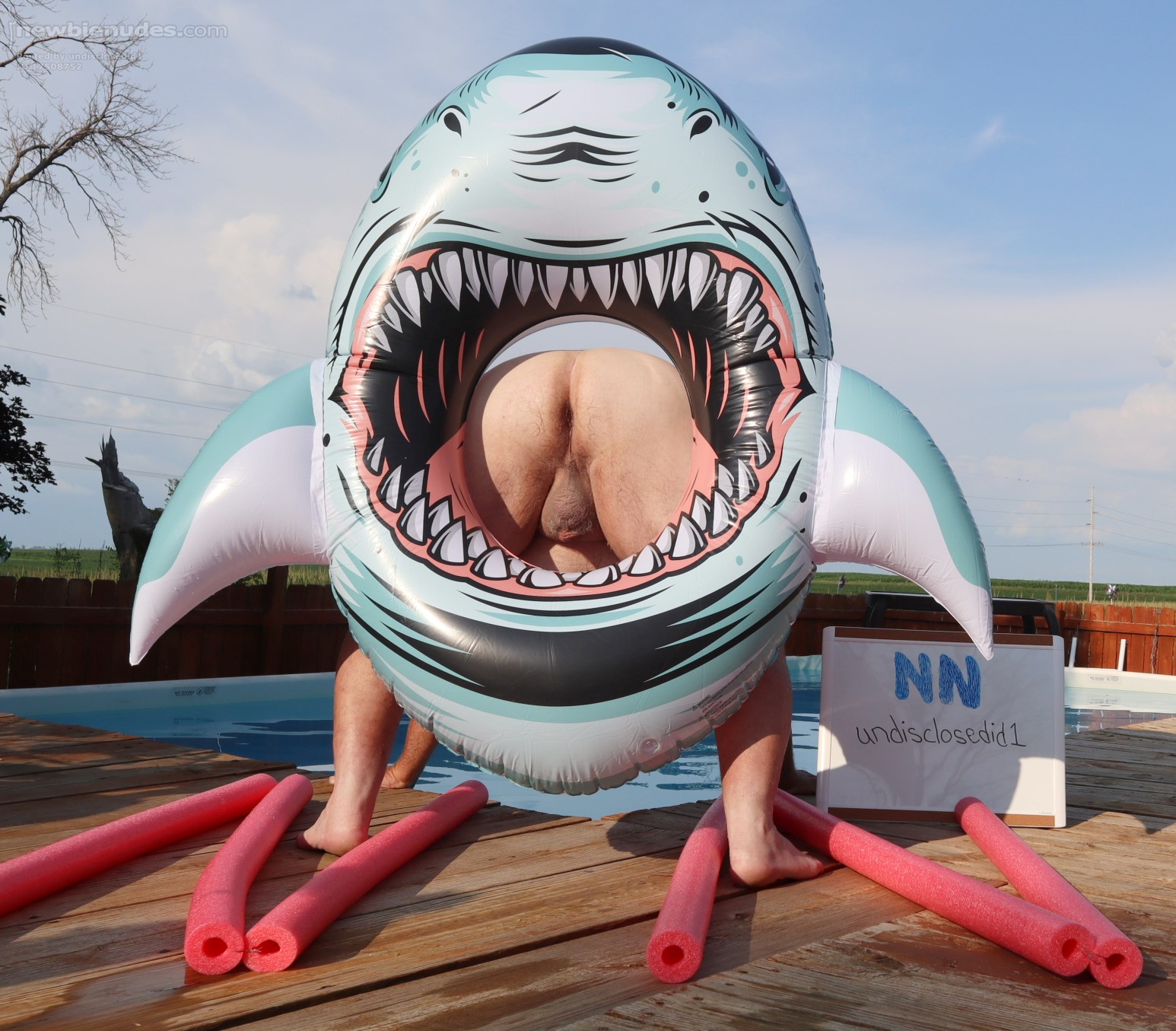 mrsU's and my 1st date was to the original "JAWS". I made an ass of myself ...