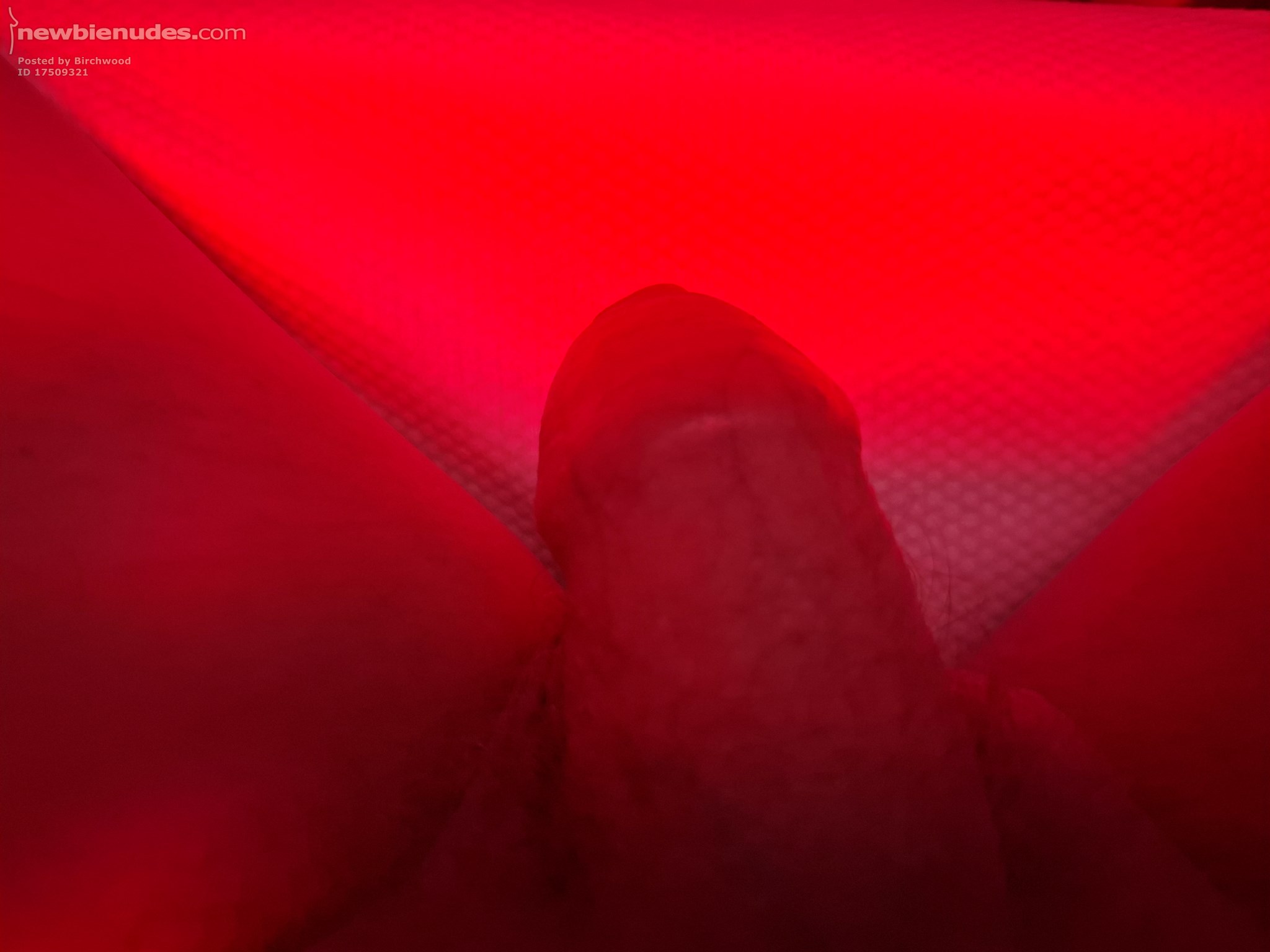 Watching cams while steaming

