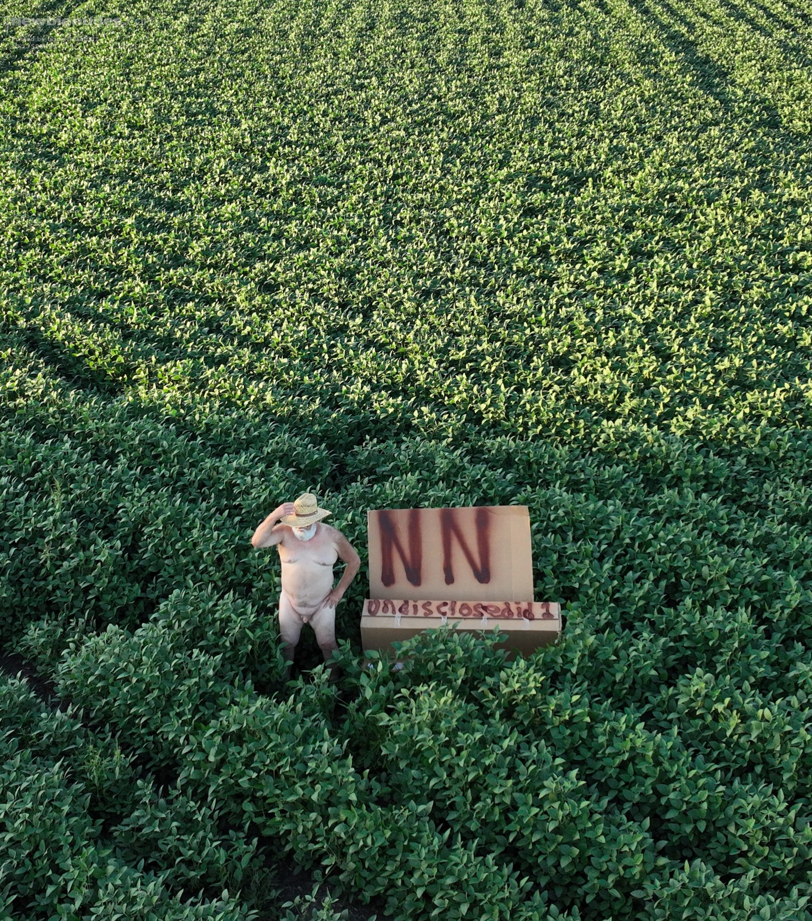 It matters not how many votes I get, I'll still be "Outstanding in my Field...