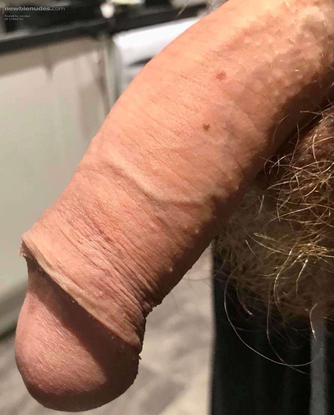 Another kitchen creation. 