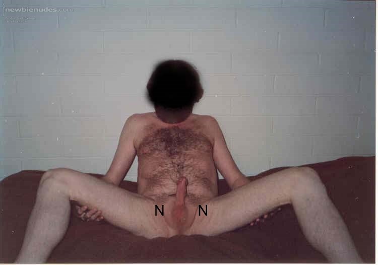 Still hung l ike a Hamster!!!