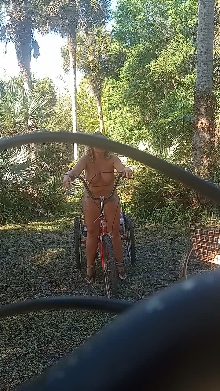 I like my truck.the lizard was eating flies.