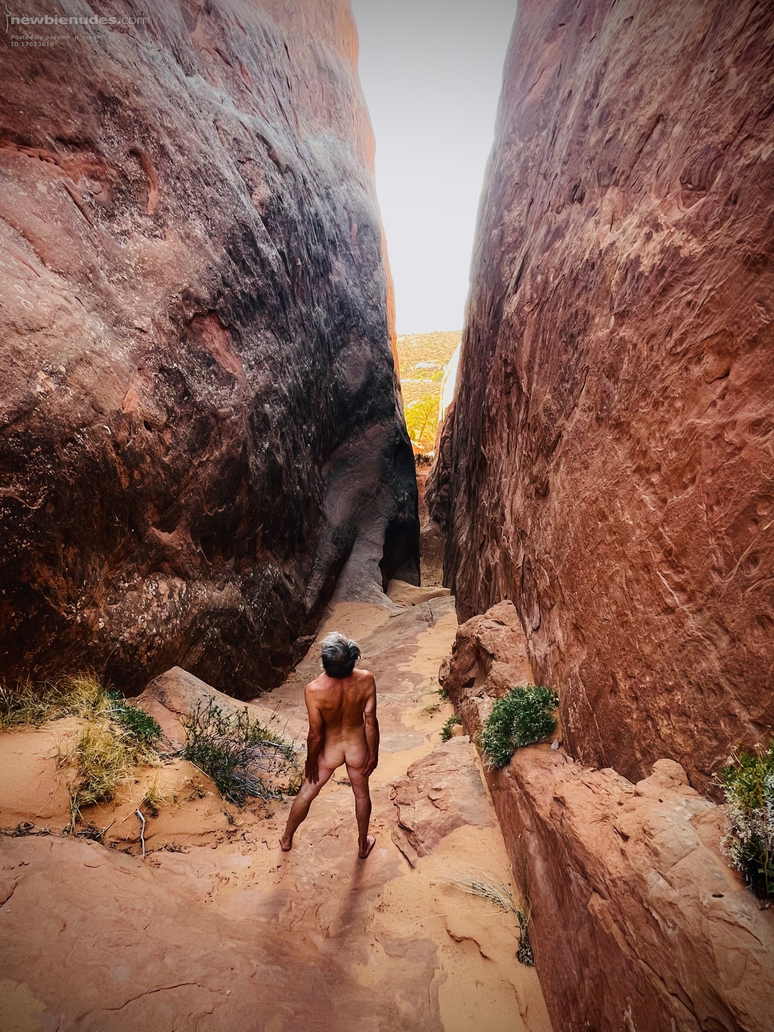 Passion’s Grand Adventure