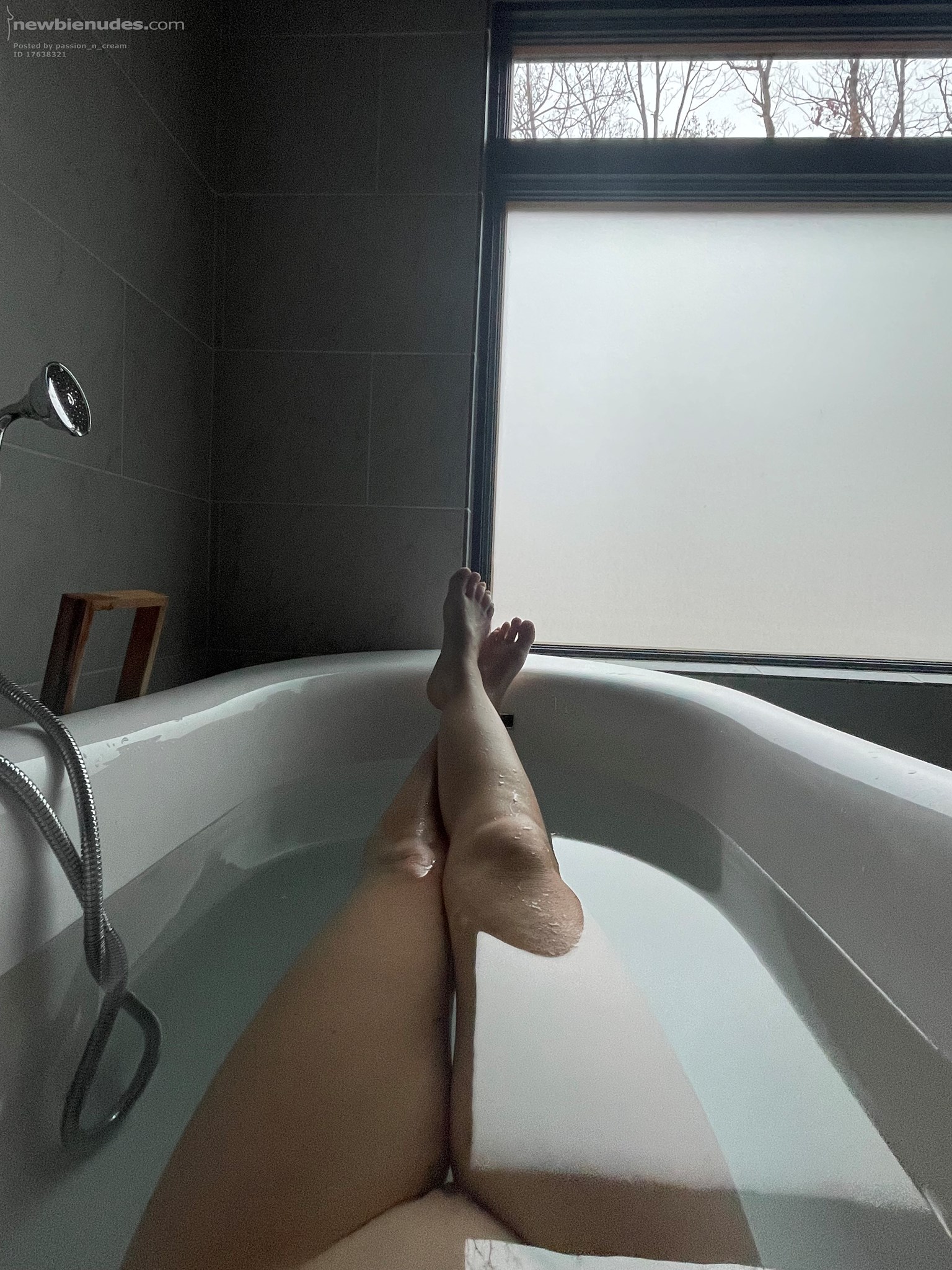 Swimming with the fishes.   (AP, this is for you. 😁)