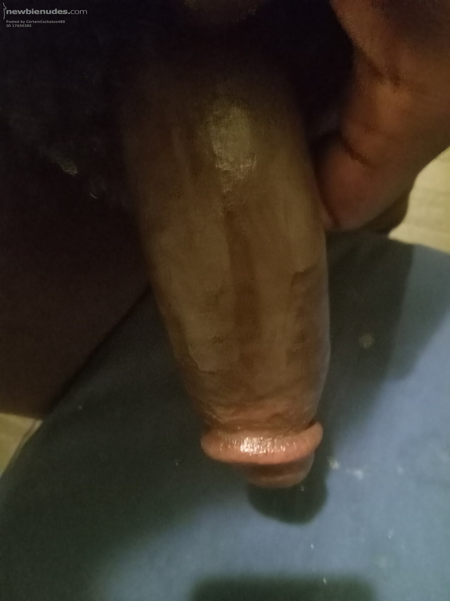 Oiled up and ready 🍆