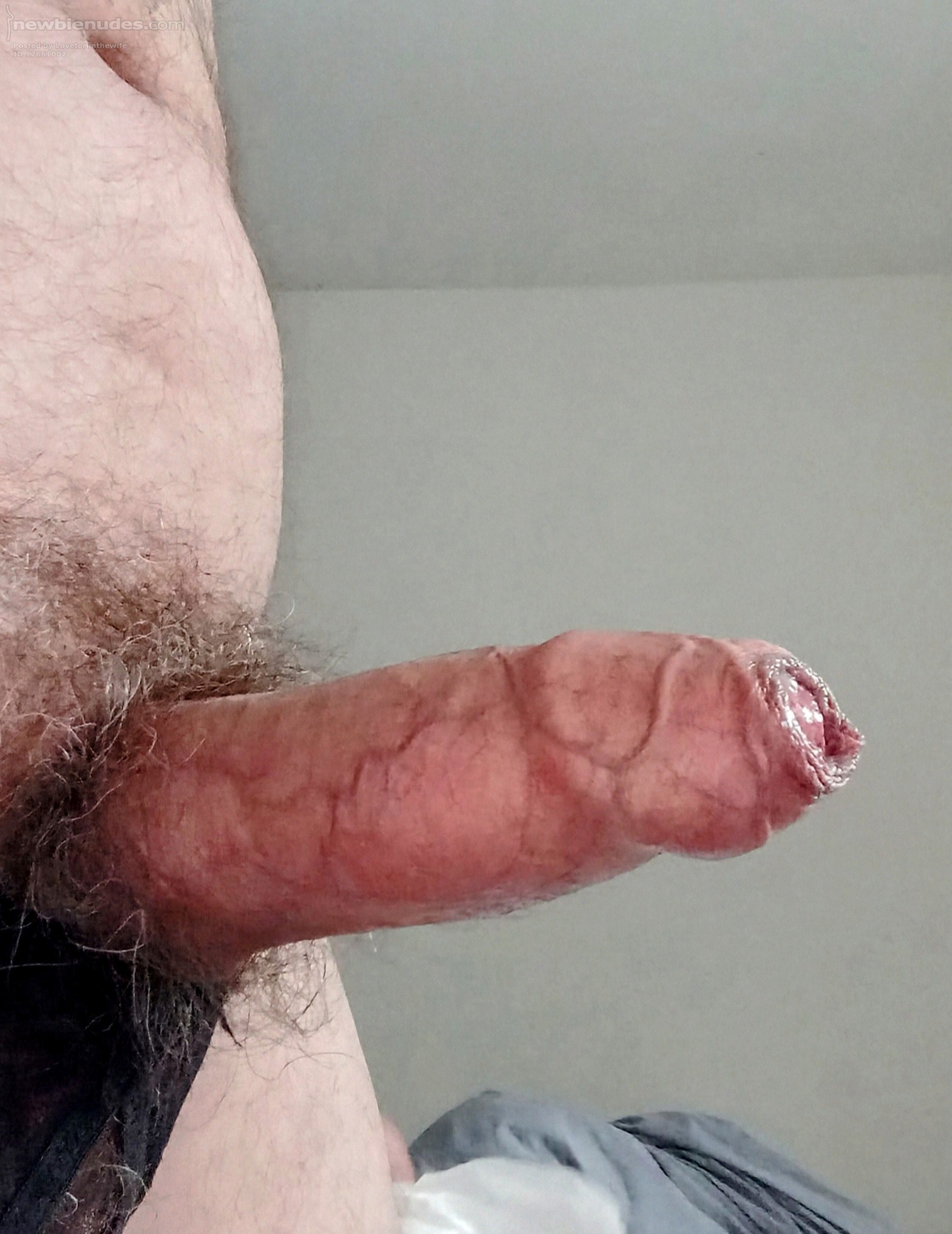 Horny and ready to play.