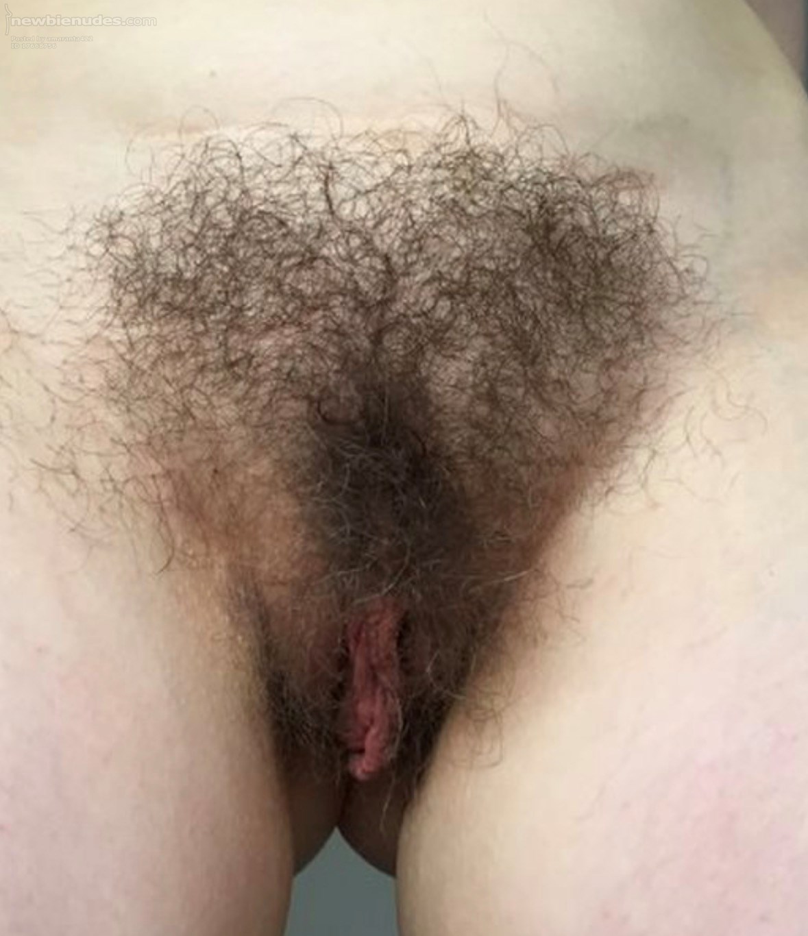 Anyone wants to get lost in the heart of darkness?