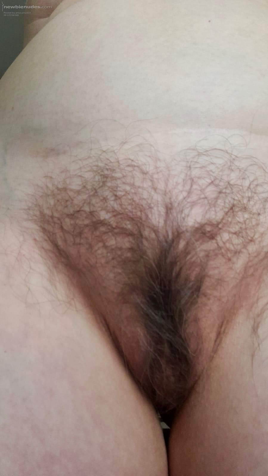 He loves exploring my bush with his nose and tongue.