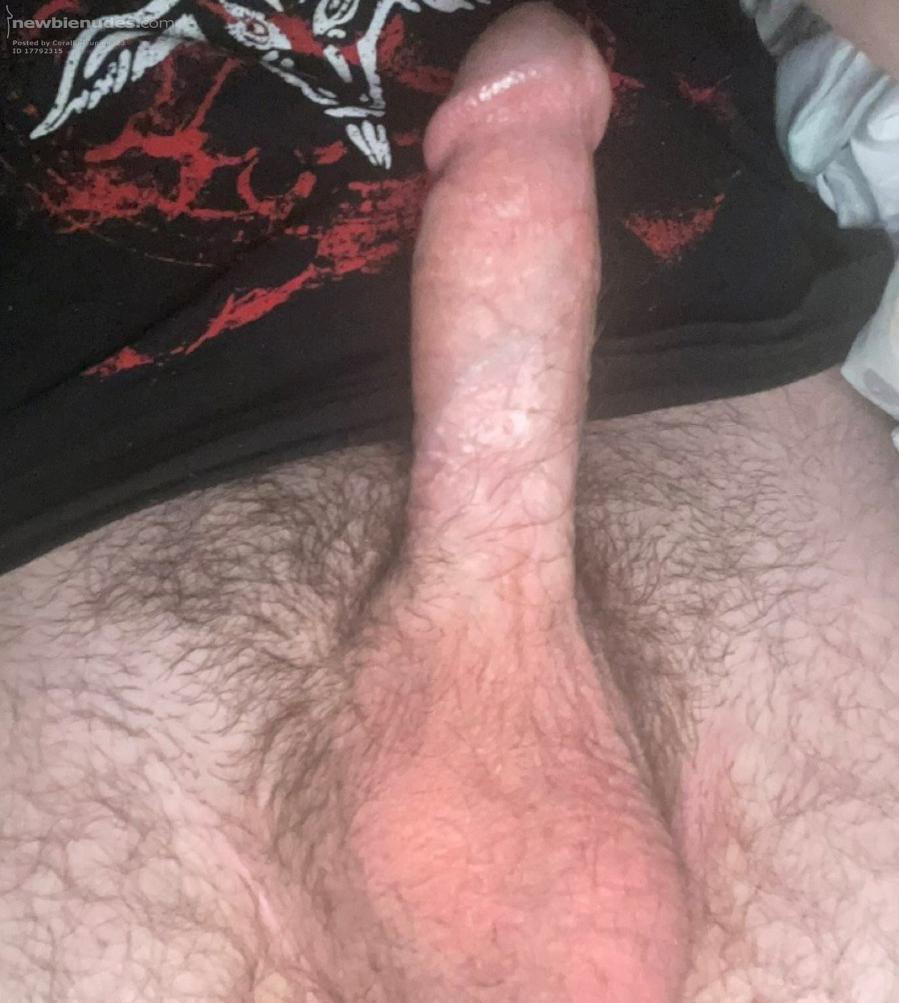 I really want to fuck a milf or cougar 👀 