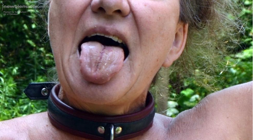 the female dog barks