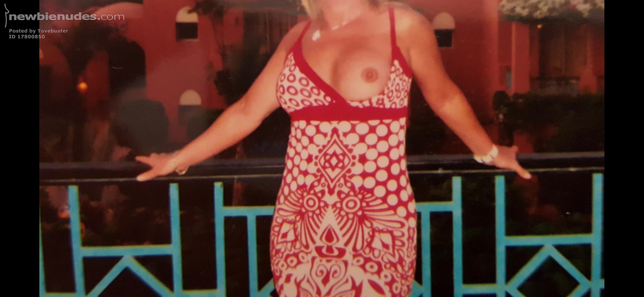 Christmas holiday pic