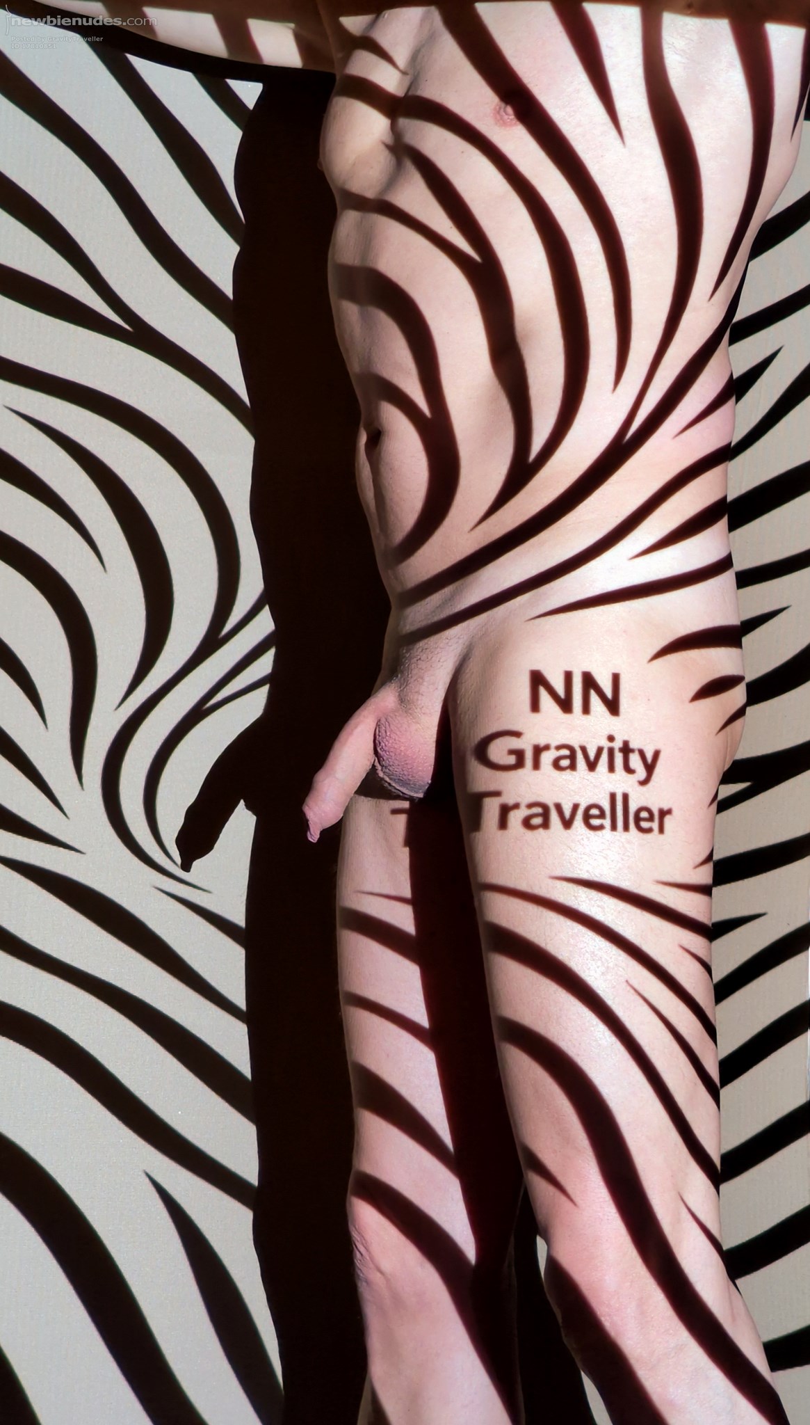 Beamer Fun NN Verification