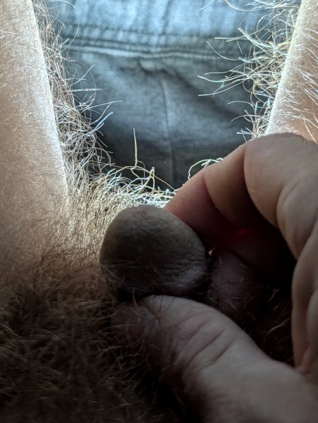 My little micro machine. At least it's cute. 