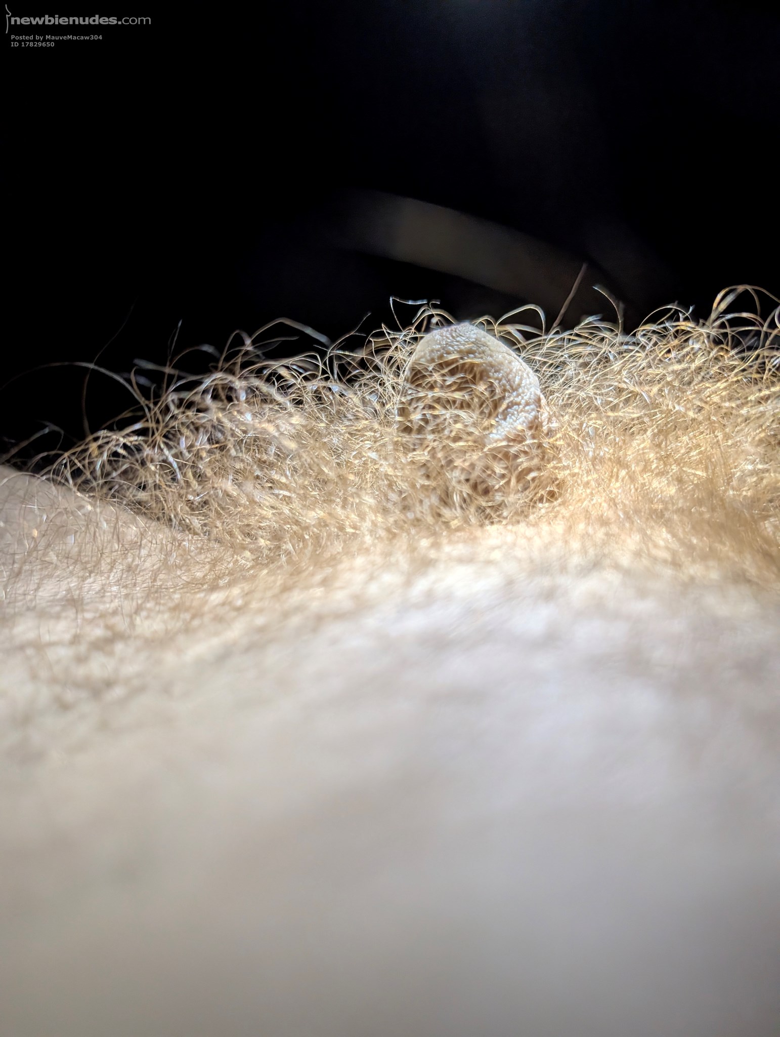 The smallest one I've ever seen. Someone tease me about it. 