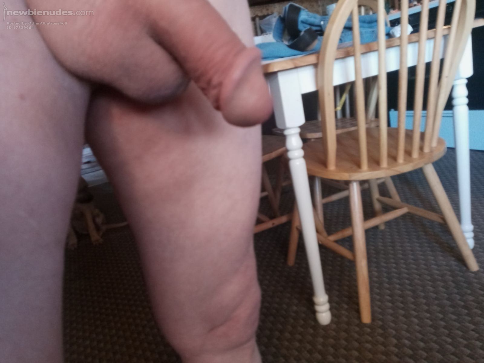 this is Paul well actually that's Paul's cock say hi Paul.