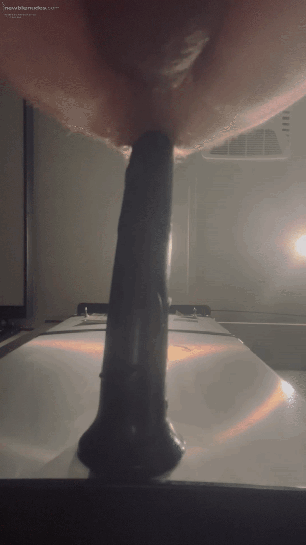 New toy is in and he is being trained.