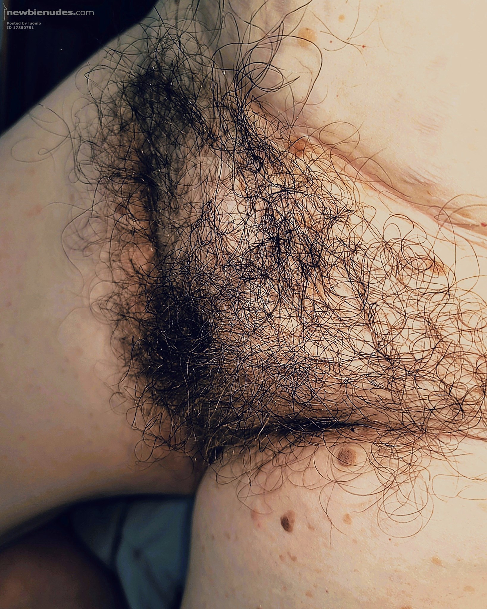 Who wants to jack off to this big bush??