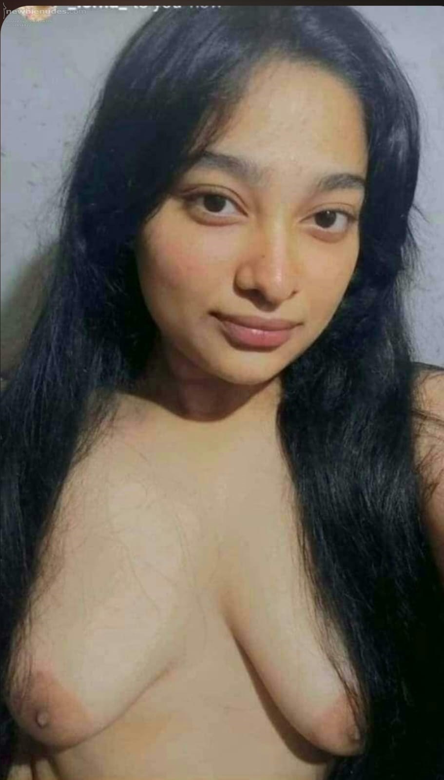Small Indian Tits
