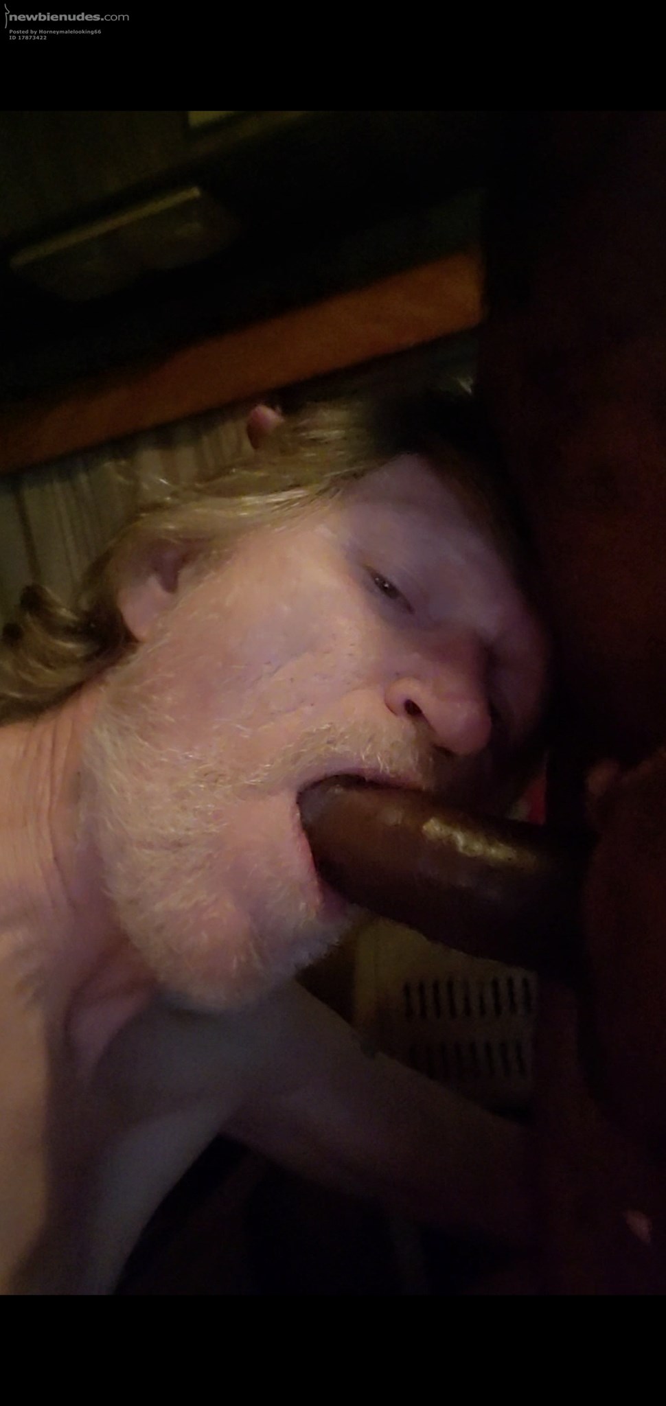 Sucking cock 