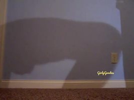 Pleasure shadow