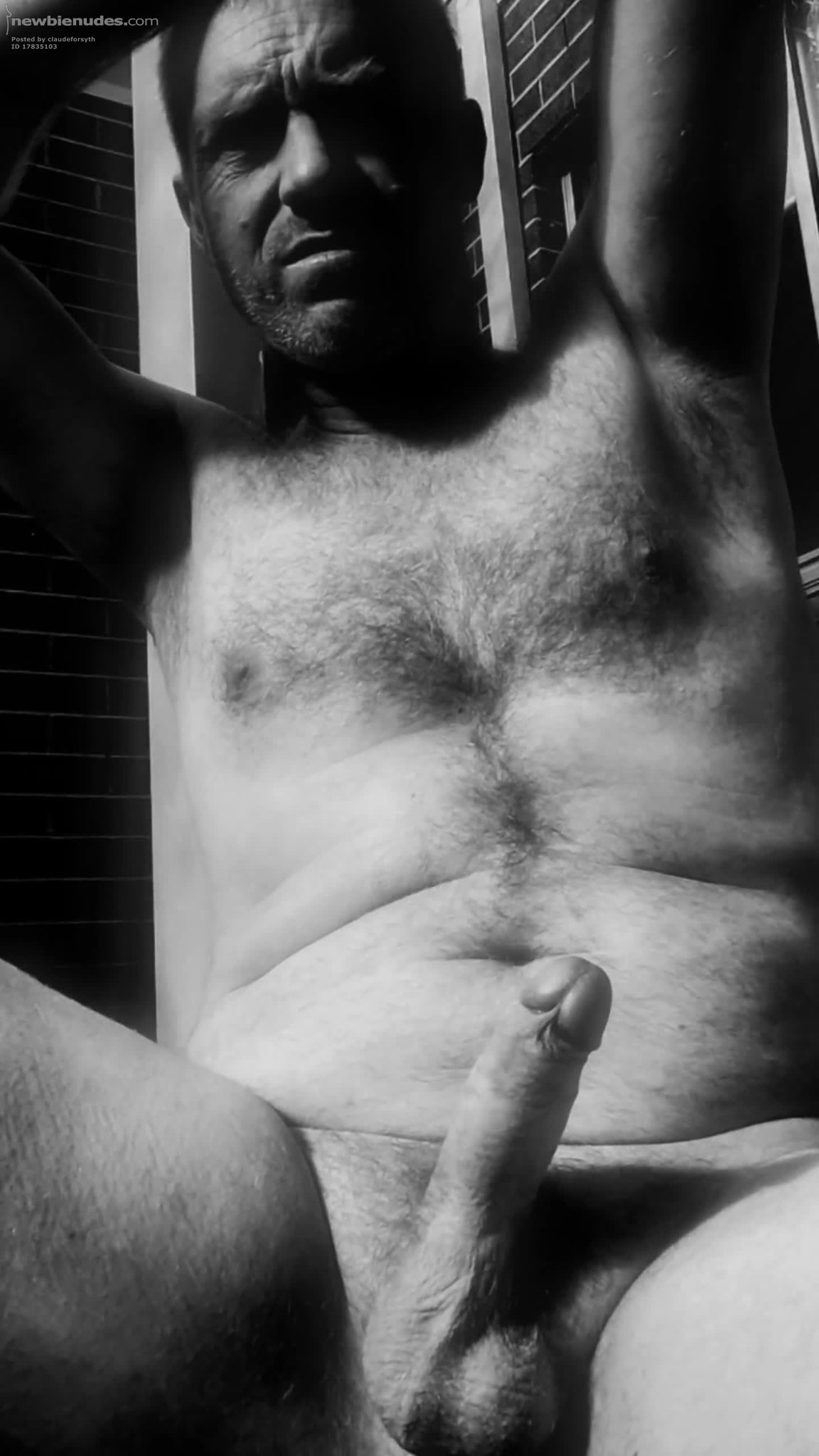 Nude Porky Went Up then Down..