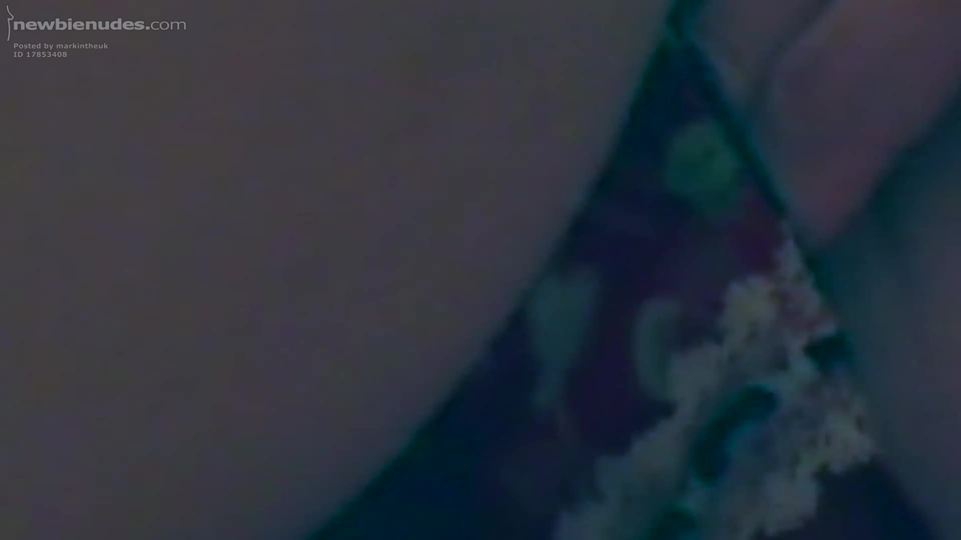 Found these in the attic!