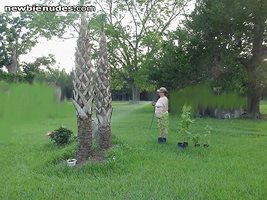 I think these palm trees grow a few inches every time my wife waters them. ...