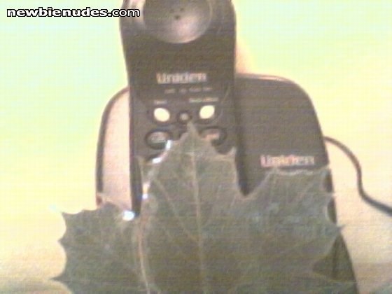 Uni's namesake with "the leaf"