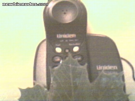 "the leaf" covering uni