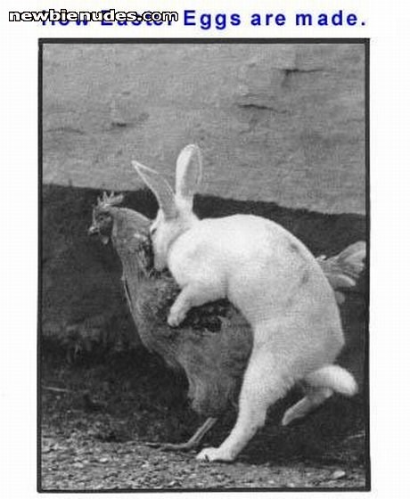 web crap .... but it's soooo funny