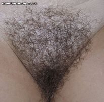 My very hairy pussy. see all my fotos