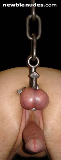 Do you have the balls to pull my chain???