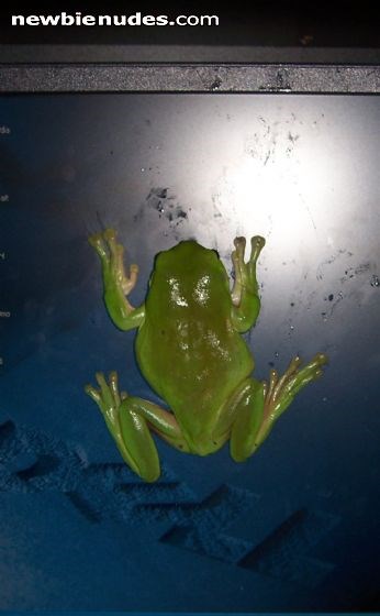 is there anybody in there ???