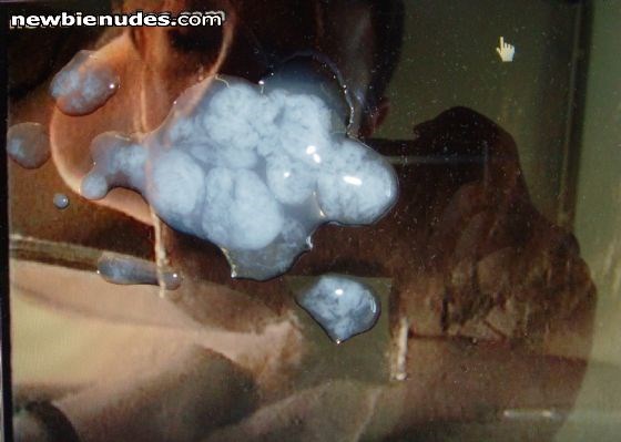 Sexysarah getting another load on her already cummed on face.