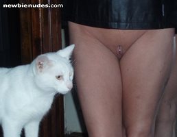 Pussy and real pussy