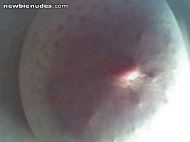 To prove that I am a freeze baby, here is a cold nipple picture, and this i...