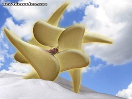 Desktop wallpaper of my boob photoshopped as a starfish - another for 5.5 I...