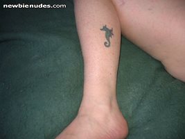 my tat..a seahorse...the men have the babies..my idea of life!!